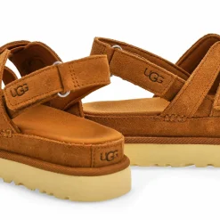 Golden Star Gleam Women