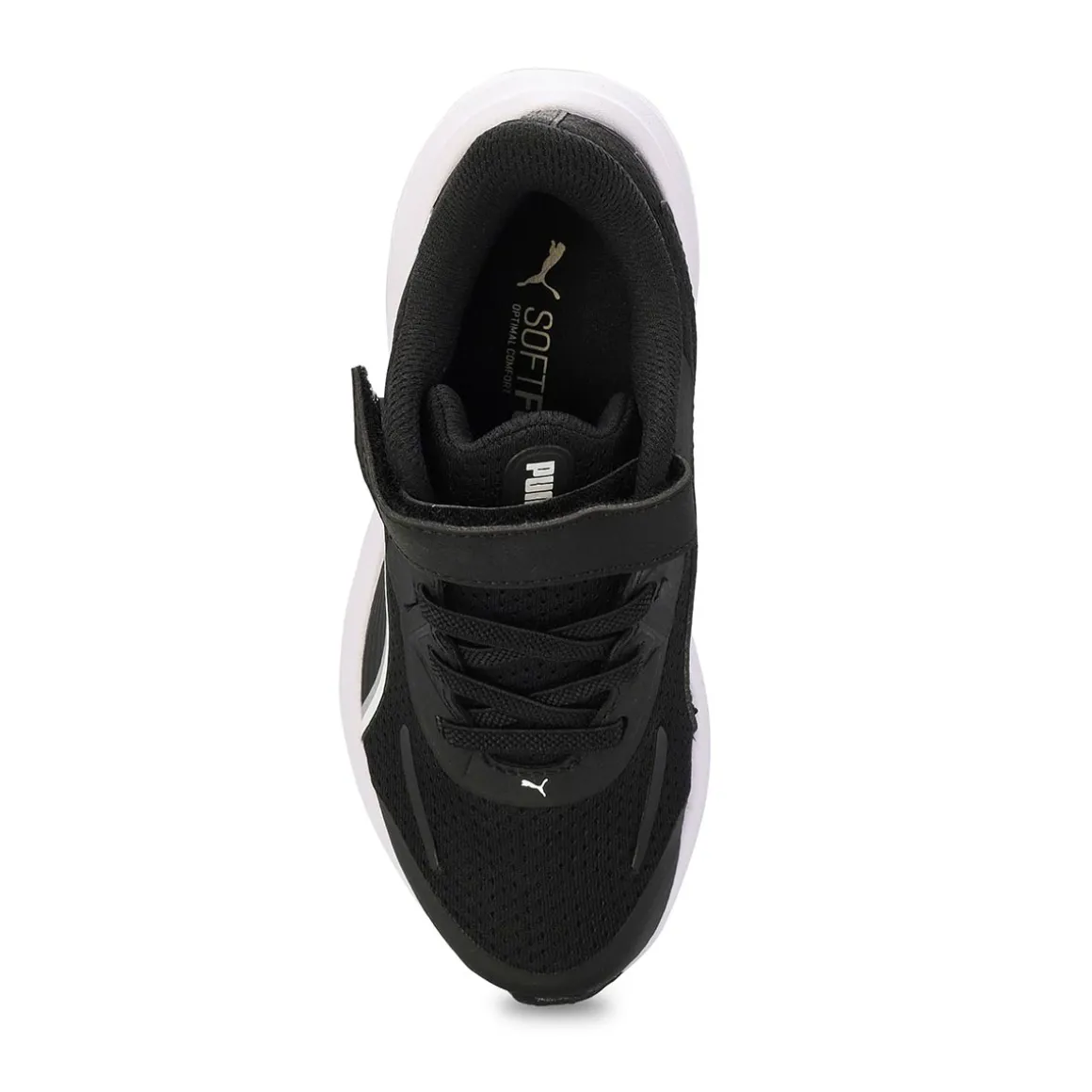 Skyrocket Lite 2 Baby and Toddlers